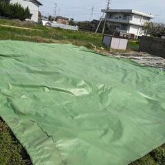 決まりました!!ビニールハウスのシート厚手防水