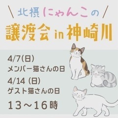 ４月１４日猫譲渡会in淀川区神崎川