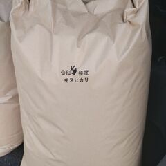 残り5袋!!滋賀県近江米キヌヒカリ 令和4年産30kg玄米 最終...