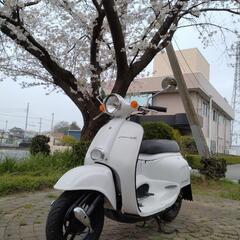 ホンダ　ジョルカブ　50cc　ノーマル車両　現状販売　自賠責付き