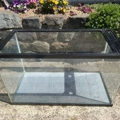 ガラス水槽  60cm  