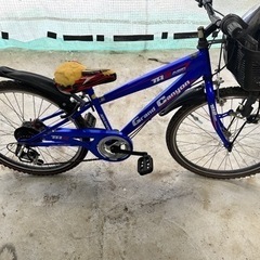 　子供　自転車 マウンテンバイク