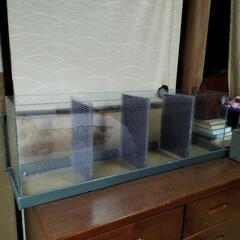 オールガラス水槽　