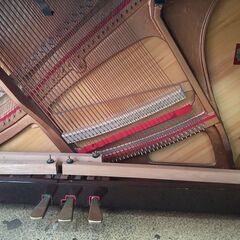 東京大田区ピアノ工房より 届いたらすぐ弾けますよ。1998年製造販売品 極上ピアノです。