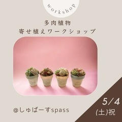 多肉植物の寄せ植えワークショップ