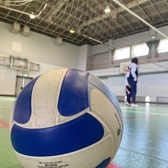 ソフトバレーを一緒にしませんか？🏐