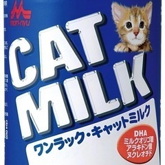 子猫のミルク譲ってください。