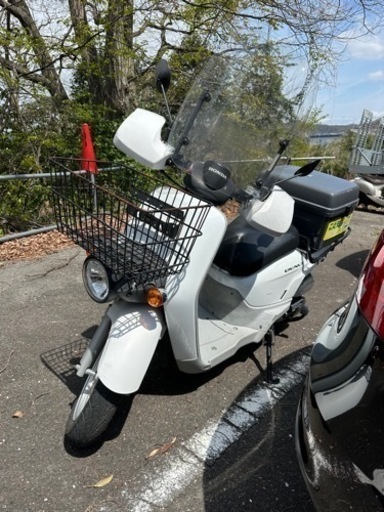 ベンリィ50PRO ベンリー BENLY50PRO HONDA