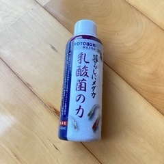 暮らしにメダカ　乳酸菌の力①