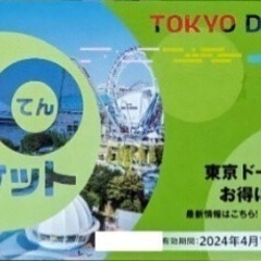 【ネット決済・配送可】東京ドームシティ★得10チケット★1冊 1...