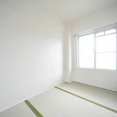 ◆敷金・礼金が無料！◆ビレッジハウス常盤台1号棟 (206号室) − 神奈川県