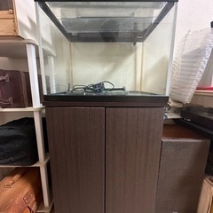 60×45×45水槽、水槽台、濾過装置、LEDライト付き