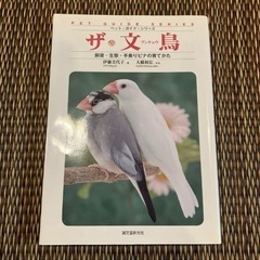 ザ・文鳥 : 飼育・生態・手乗りビナの育てかた