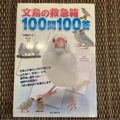 文鳥の救急箱100問100答