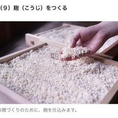 【クリネックスカシミヤと物々交換】古米/餌用や麹作りにお使いいた...