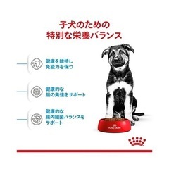 ロイヤルカナン　15kg