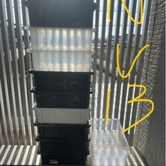 受渡先決定⭐︎ 中古めだか飼育容器