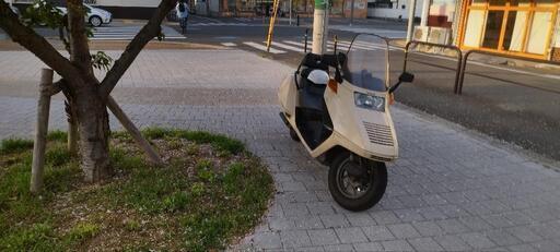 ホンダ フュージョン 純正パールモデラートベージュ 2004年式 大人