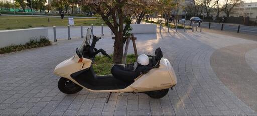 ホンダ　フュージョン　純正パールモデラートベージュ　2004年式　大人カスタム ホンダ フュージョン 純正パールモデラートベージュ 2004年式 大人カスタム