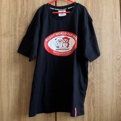 新品！canterbury Tシャツ！