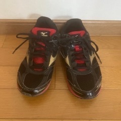 【決まりました!】男の子　スニーカー　24.5センチ　mizuno