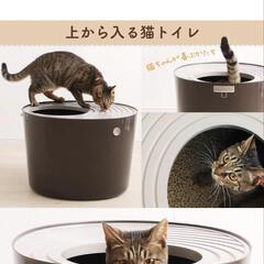 猫用トイレ【購入価格 約3500円】