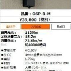 新品未使用❗アイリス OSP-B-M エクステリア LEDスポッ...