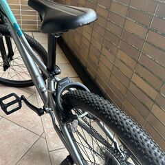 Giant ENCHANT 24 ジュニアマウンテンバイク