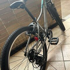 Giant ENCHANT 24 ジュニアマウンテンバイク