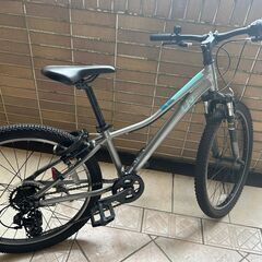 Giant ENCHANT 24 ジュニアマウンテンバイク