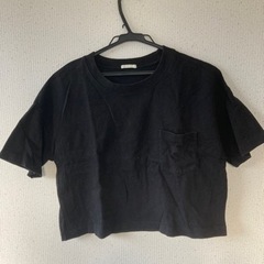 ショート丈　Tシャツ 半袖Tシャツ　レディース　メンズ　黒　Sわ