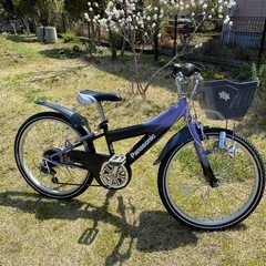 自転車 マウンテンバイク