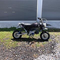 モンキー国産きれいです