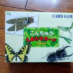 カードゲーム(昆虫 絵合わせ)