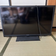 家電 テレビ 液晶テレビ