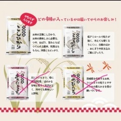 ふるさと納税　米　40kg！　5kg×8袋（4種類）