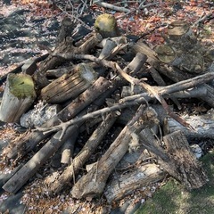 木　焚き木　薪木