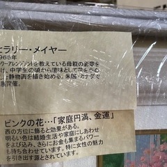 ヒラリー・メイヤー　ピンクの花