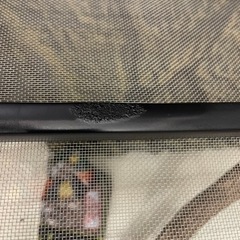 エキゾテラ　グラステラリウム6060