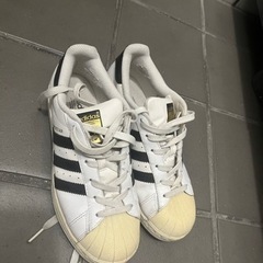 adidas スニーカー　レディース　23.5 スーパースター