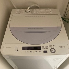 美品 2017年製 シャープ 全自動洗濯機 5.5kg