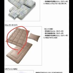 掛け布団＋薄い毛布　破れ無し(中古)