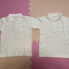 【ほぼ新品】白半袖ポロシャツ2枚、120cmほぼ新品