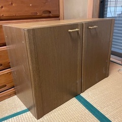 玄関用靴箱【家具 収納家具 キャビネット】