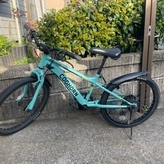 自転車 マウンテンバイク