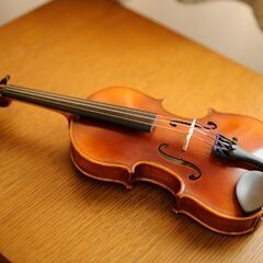 GCV　Violin set No.017　1/10　ヴァイオリ...