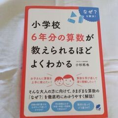 「小学校6年分の算数が教えられるほどよくわかる