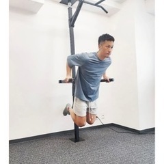 KENSUI 懸垂バー テディワークス スポーツ フィットネス、トレーニング