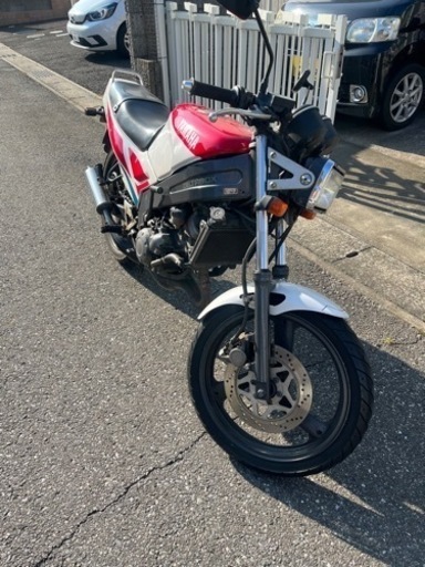 ピュアロイヤル フィッシュ 2700g ピュアロイヤルフィッシュ（ピュア