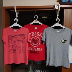 BREEZE、ChampionＴシャツ